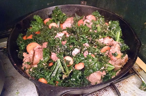 Kale Carrots and Chicken Livers for Dogs
