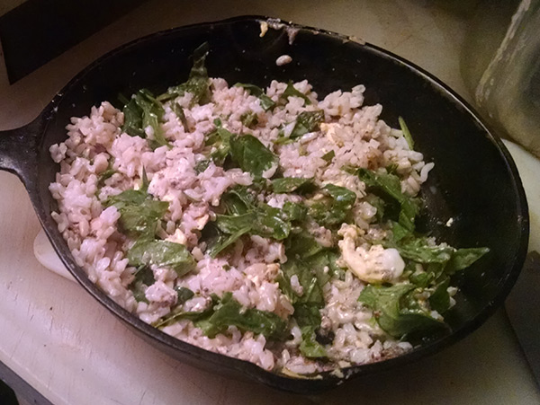 Brown rice, spinach, eggs and flax seed meal for dogs